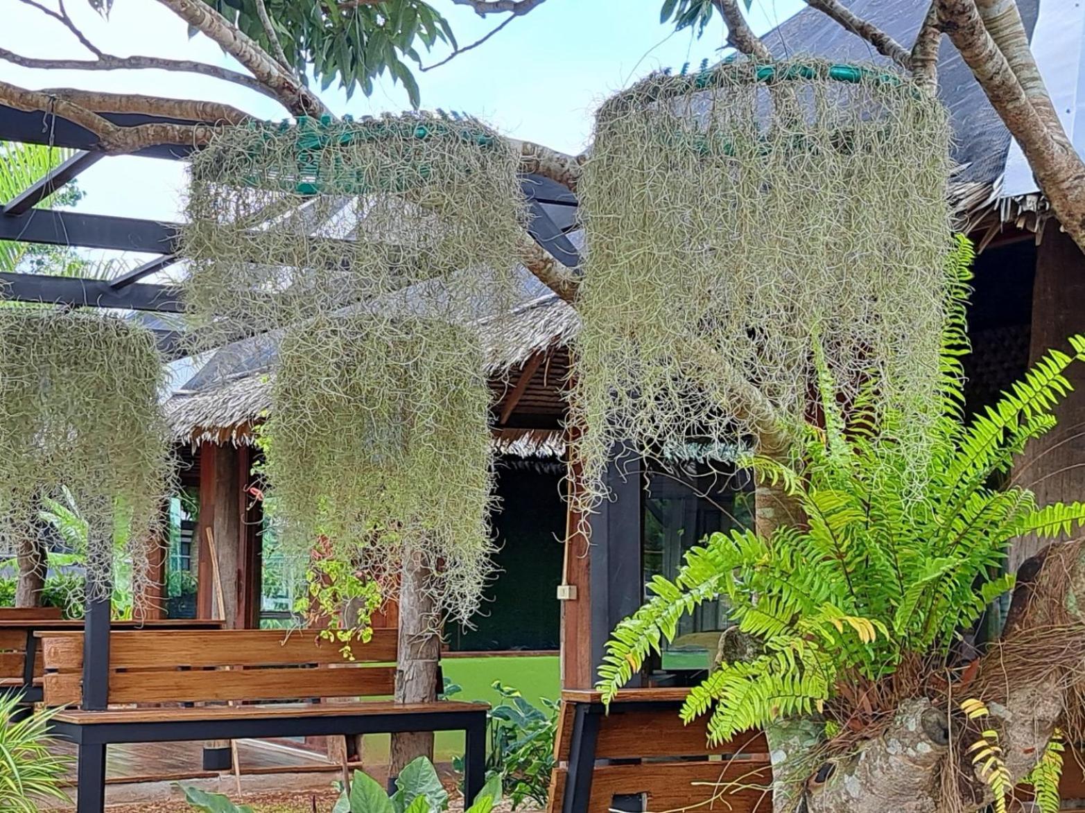 Kham Ecolodge Чиангсен Экстерьер фото